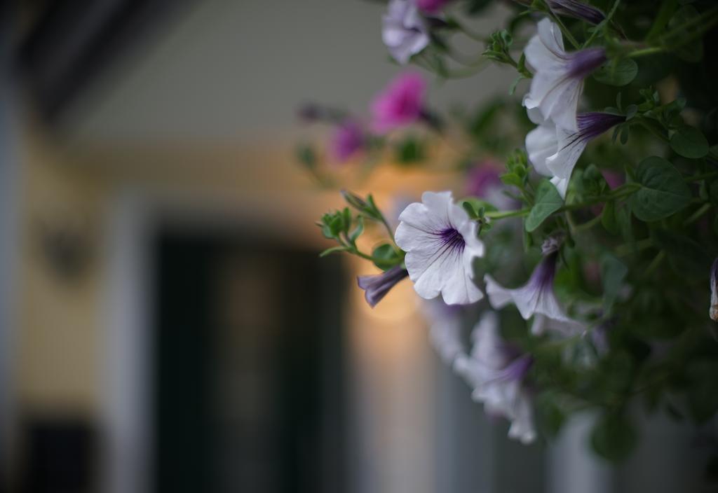 Landhaus Lilly Bed & Breakfast Obertraun Exterior photo