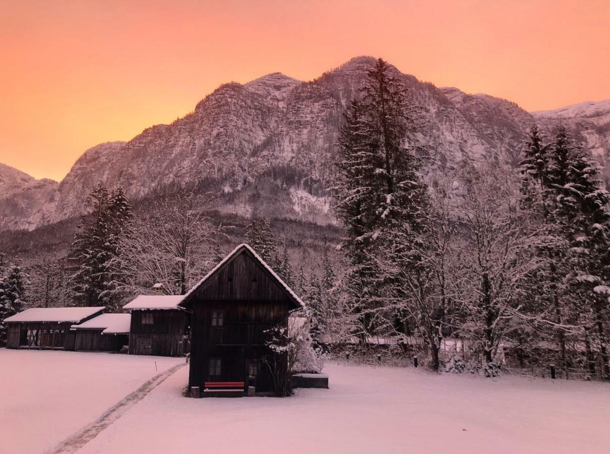 Landhaus Lilly Bed & Breakfast Obertraun Exterior photo