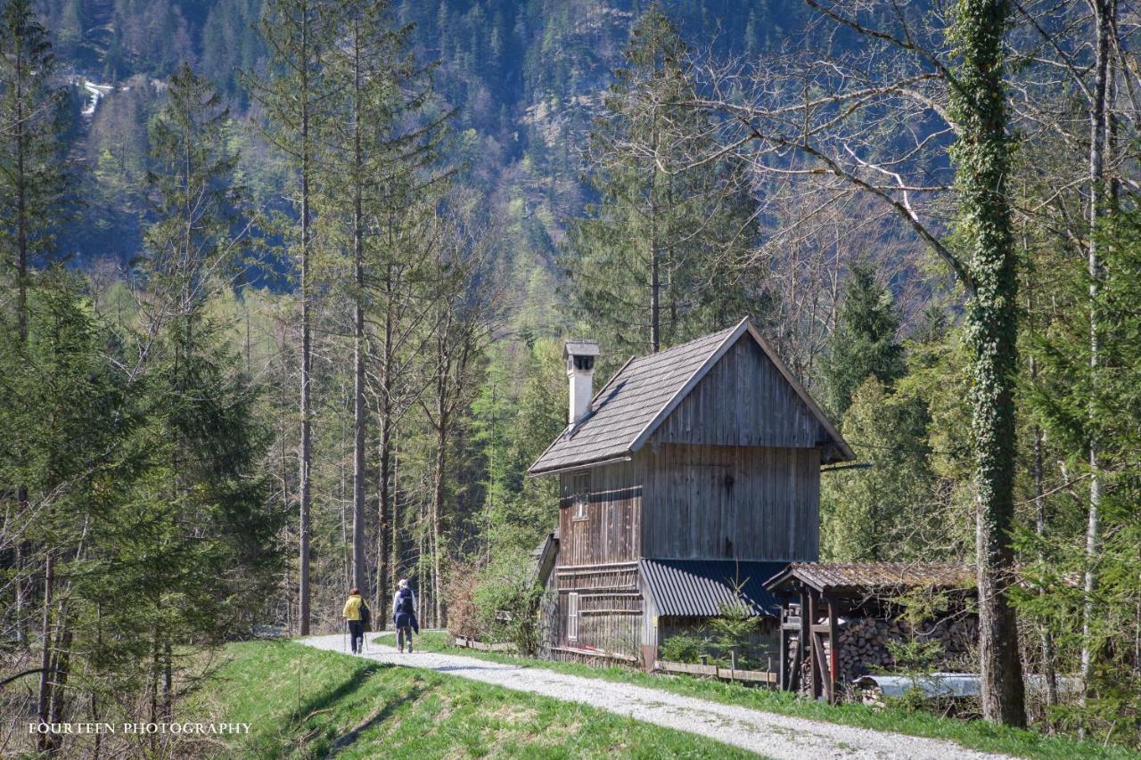 Landhaus Lilly Bed & Breakfast Obertraun Exterior photo